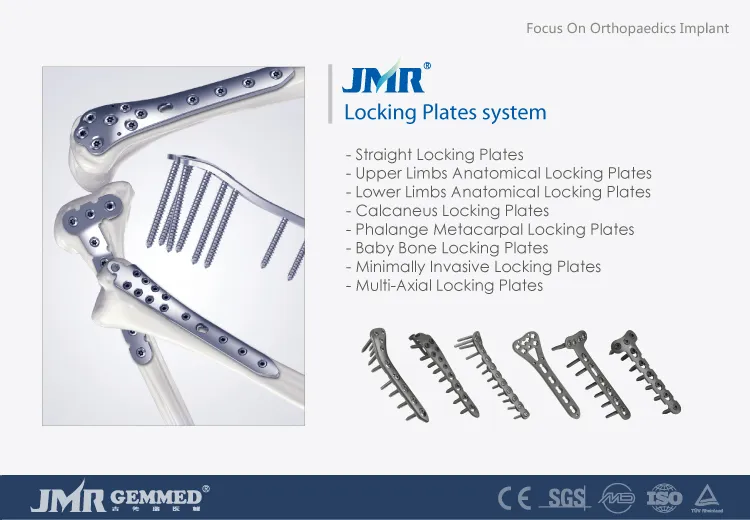 2.0m Medical Orthopedic Implant Hand Phalange/Metacarpus Locking Plate